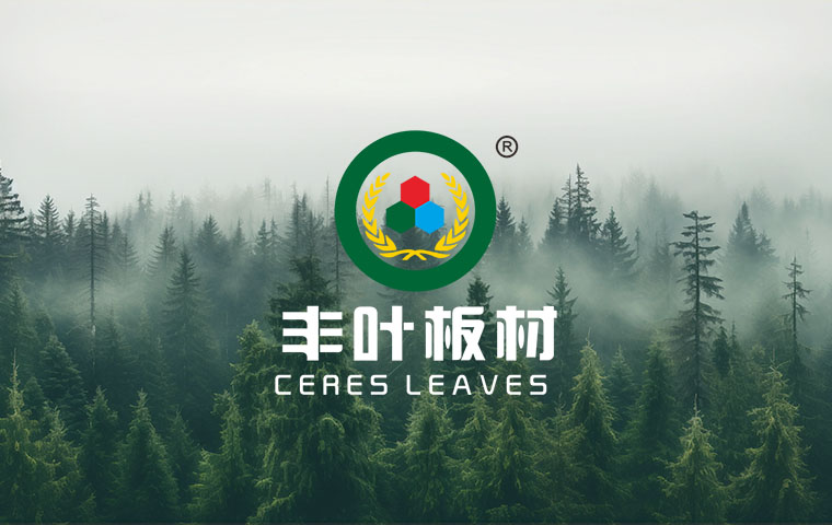 幻灯片